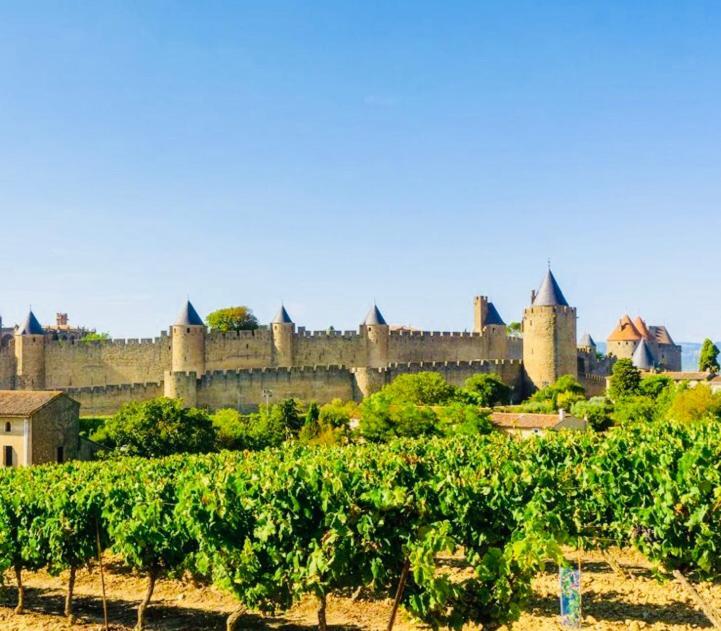 T2 Cocooning Vue Panoramique Cite Apartment Carcassone Exterior photo